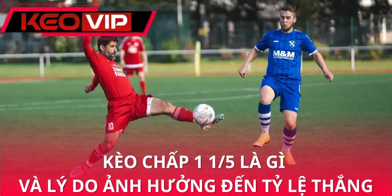 Kèo chấp 1 1/5 là gì và lý do ảnh hưởng đến tỷ lệ thắng